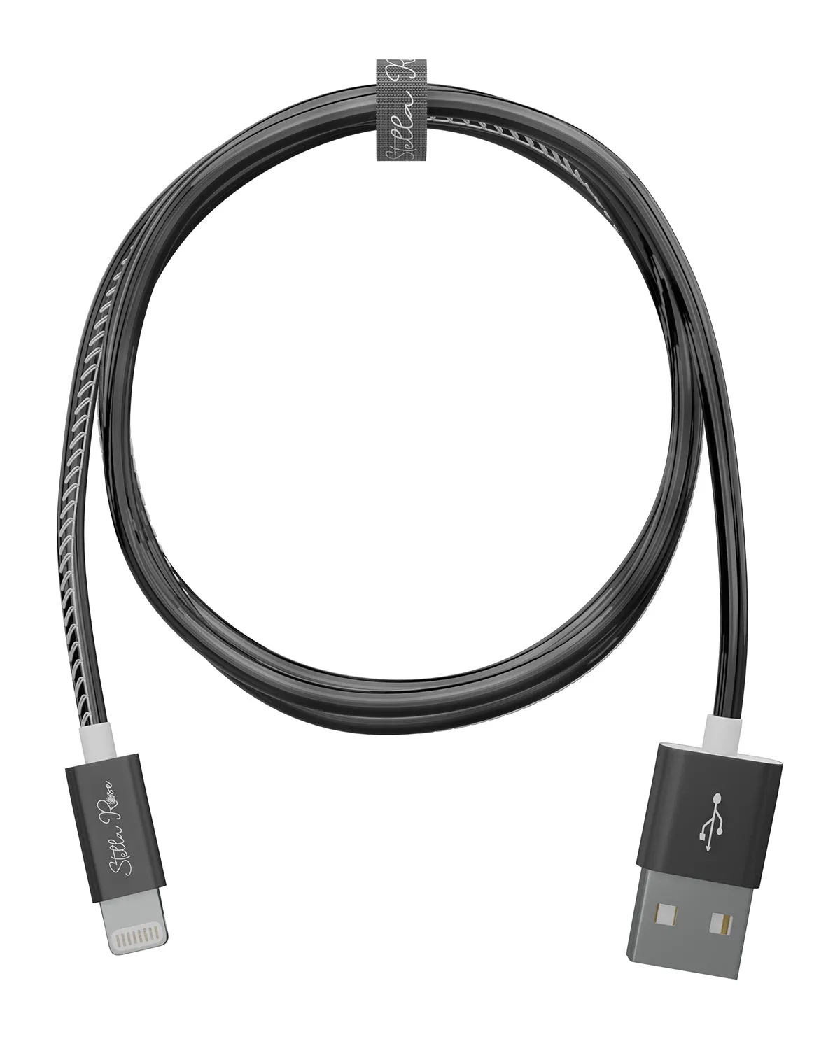 6Ft. Black Lightning Sync & Charging Cable