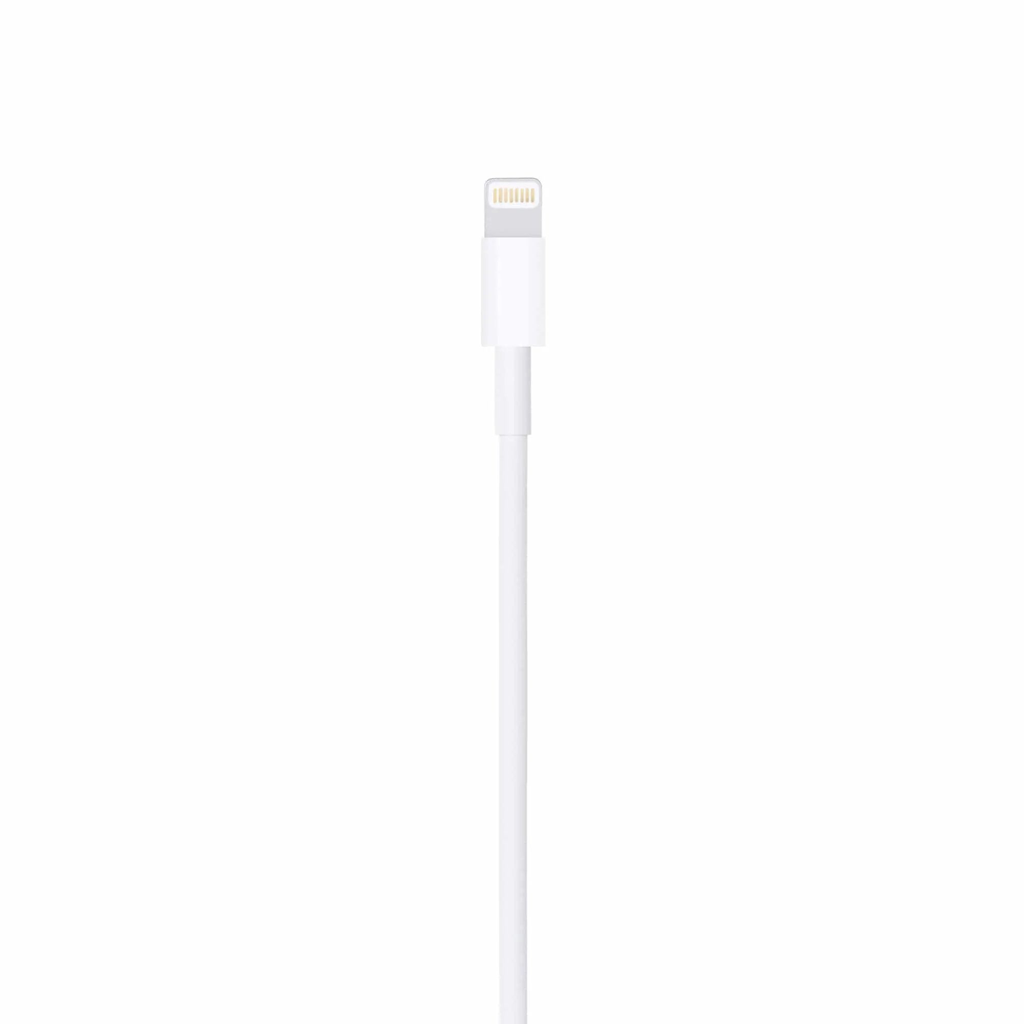 Apple Lightning To Usb Cable (1m)